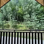 Drewniany Nad Dolina Dunajca *