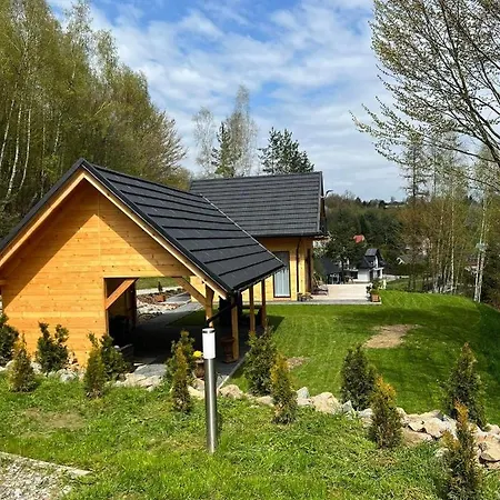 Drewniany Nad Dolina Dunajca Apartamento *