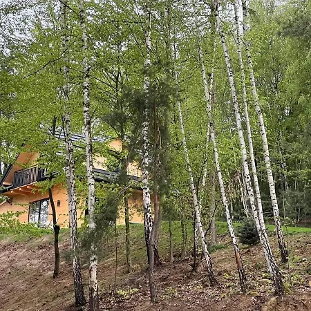 Drewniany Nad Dolina Dunajca *